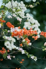 Vertical closeup of white and orange tiny flowers in a green garden