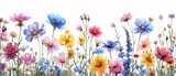 Fototapeta Kosmos - Watercolor cartoon drawing, pastel wildflowers, colorful vibrance, white background ,3DCG,high resulution