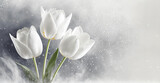 Fototapeta Tulipany - Tapeta białe kwiaty. Puste miejsce