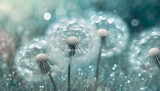 Fototapeta Dmuchawce - Abstrakcyjne kwiaty dmuchawce