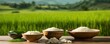 A bowl of rice rests peacefully amidst the verdant expanse of a grassy field, where the soothing ambiance of nature reigns supreme.
