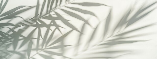 Wall Mural - Minimal abstract background for product presentation. Llight on gray  plaster wall.