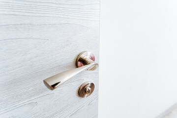 Sticker - A nickel circle door handle on a white door, enhancing the hardwood flooring