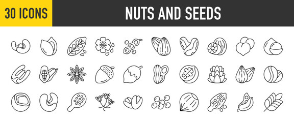 30 Nuts and Seeds icons set. Containing Cashew, Soyabean, Pumpkin, Macadamia, Flaxseed, Nutmeg, Chickpeas, Sunflower, Coconut, Pistachio, Almond and Chestnut  more Vector illustration collection.