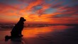 Sundown Serenity Depict the dog sitting peacefully on the beach at sunset, with the sky ablaze with hues of orange and pink, and the dog gazing out at the horizon with a contented smile
