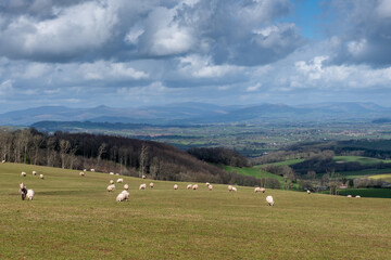 Wall Mural - View towards the Black Mountains