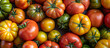 Various red, yellow, green type of tomatoes top view. Healthy food ingredient. Vegetable harvest background. 