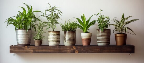 Poster - A wallmounted wooden shelf adorned with various houseplants in flowerpots, adding a touch of nature and greenery to the room