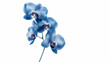 Blaue Orchidee in großartiger Nahaufnahme, ai generativ