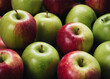A close-up shot of a collection of fresh, recently harvested green and red apples.