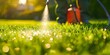Person spraying pesticide on green lawn outdoors for pest control. Concept Pesticide Spraying, Lawn Care, Pest Control, Outdoor Maintenance, Garden Protection