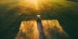 Agricultural aerial view of a tractor spraying pesticides on a green field at sunset. Concept Agricultural Drone Photography, Tractor Spraying Pesticides, Sunset Farming Scene