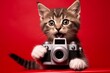A cat holding a black photo camera. Red background. Isolated. Photographer concept.