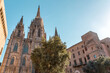 Santa Maria del Mar  church in the Ribera district of Barcelona, Spain