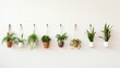 A set of minimalist wall hooks with hanging plants, promoting functional and aesthetic decor