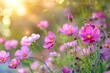 Wild flowers plant on summer or autumn nature background, banner for website .