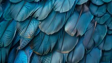 Macro Shot Of Blue Bird Feathers. Nature And Texture Concept. Design For Wallpaper, Textile, And Artistic Background