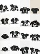 Un delicioso mosaico de rostros caninos, cada panel captura una diferente y expresiva matiz de emociones perrunas en marcado blanco y negro.