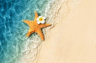 Wall Mural - Starfish and flower on the summer beach in sea water. Summer background.