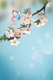 Fototapeta Do akwarium - Blossom tree over nature background with butterfly. Spring flowers. Spring background.