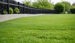 Green smooth lawn against the background of a white fence. Green lawn surrounded by a fence.