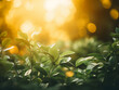 Discover the natural beauty captured in blurred leaves and bokeh.