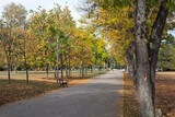 Fototapeta Desenie - Autumn view of South Park in city of Sofia, Bulgaria