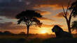sunset in the forest sitting lion 