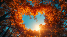 Autumn Forest Background. Vibrant Color Tree, Red Orange Foliage In Fall Park. Nature Change Yellow Leaves In October Season Sun Up In Blue Heart Shape Sky Sunny Day Weather, Bright Light Banner Frame