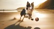 砂浜でボール遊びをする犬｜Dog playing ball on sandy beach, Generative AI