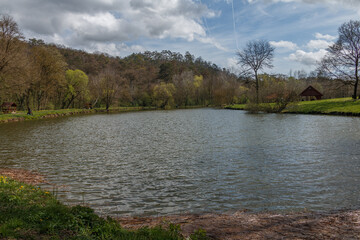 Wall Mural - Lake in the forest.