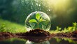Green plant inside a glass globe on nature background. Save the planet concept