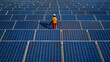 Worker repair solar panels