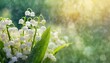 Enchanting Spring: Lily of the Valley Blossoms in Wide Banner