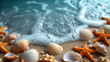 Seashells and starfish on the beach. Summer background.