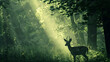 Cute deer walking through the green forest in the morning sun