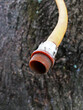 © Zzoe Iggi - Close-up view of the end of the hose with a tree in the background.