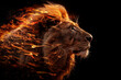Lion king in fire, Portrait on black background, Wildlife animal
