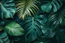 Closeup Nature View Of Green Leaf And Palms Background. Flat Lay, Dark Nature Concept, Tropical Leaf - Generative Ai