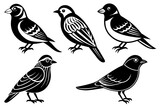 Fototapeta Dinusie - different-birds-icon-vector-illustration