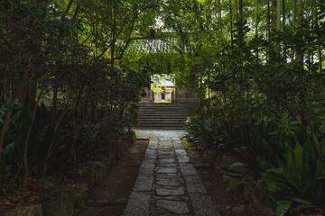 Wall Mural - 静岡 龍潭寺の仁王門