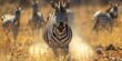 Burchell's zebra in South Africa displaying flehmen response, Generative AI 