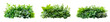 Mixed Greenery in Elegant Terrarium Planters on Transparent Background