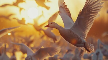 Wall Mural - A flock of birds flying in the sky with a sunset behind them, AI