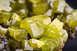 Pyromorphite crystals, from spain. macro photography detail texture background. close-up raw rough unpolished semi-precious gemstone
