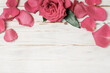 Stunning pink roses on white rustic wooden background. Copy space