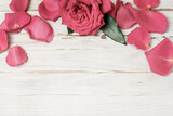 Fototapeta Kwiaty - Stunning pink roses on white rustic wooden background. Copy space