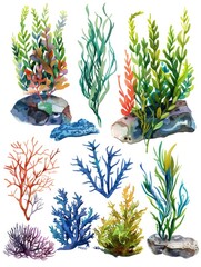 Poster - A collection of underwater plants and rocks. The plants are in various shades of blue, green, and red, and the rocks are of different sizes and colors. Scene is calm and serene, with the plants