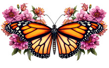 A Vibrant Butterfly Gracefully Displays Intricate Pink Flowers On Its Delicate Wings