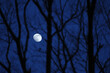 黄昏時の月イメージ１